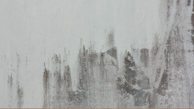 ここにタイトルが入ります。